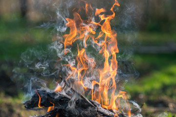 Bonfire close up with blurred background. Camping concept