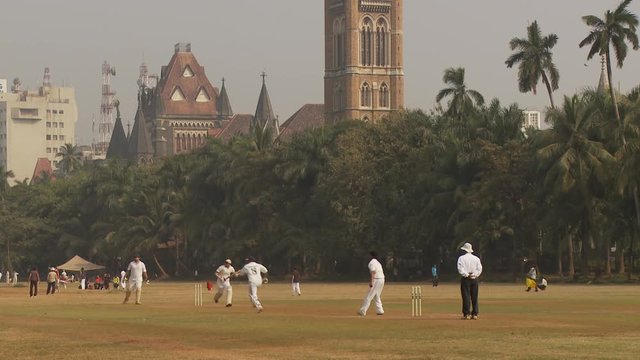 WS People playing cricket in Oval Maidan / Mumbai, India