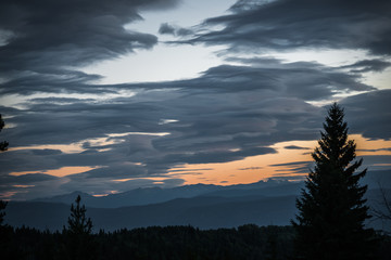 Canadian Evening Sky - Forest Silhouette 