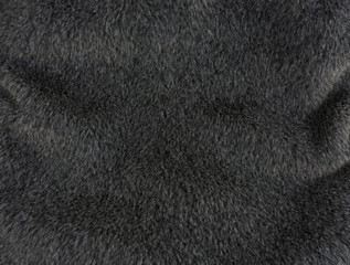 beautiful luxury short soft fur background gray color, elegant gray shot hair use for background texture, abstract animal fur background with dynamic curve, gray background texture for luxury product