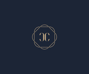 luxury initial letter CC logo design template