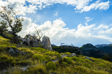 Trekkings from El Chalten