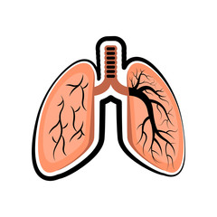Human cut lung. Colored sketch. Vector illustration design