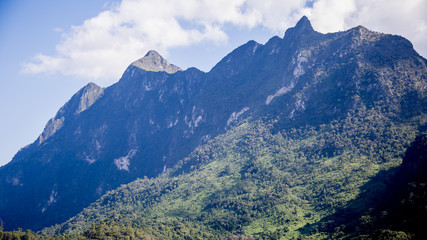 Naklejka premium view of mountains