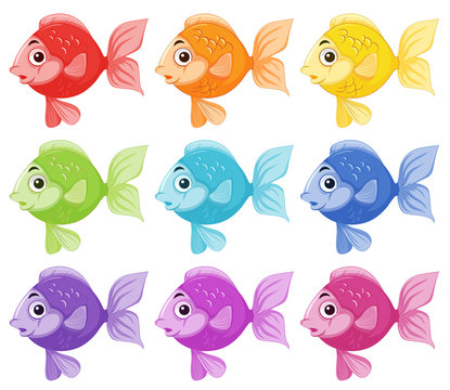 Set of colorful fish