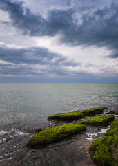 Fototapeta na wymiar Colorful sea shore with green algae