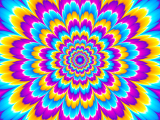 Colorful flower blossom. Optical illusion of movement.
