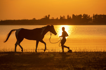 Fototapeta na wymiar Man training horse in golden hour sunset at lakeside lifestyle of cowboy in countryside