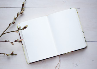 Blank album sheet for your text, copy past and mock up for your romantic and poetry design. Vintage feather, old style, writing materials