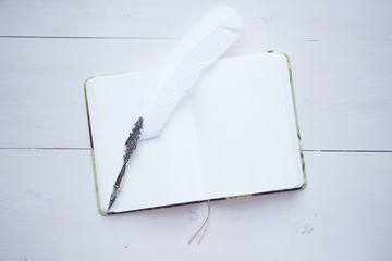 Blank album sheet for your text, copy past and mock up for your romantic and poetry design. Vintage feather, old style, writing materials