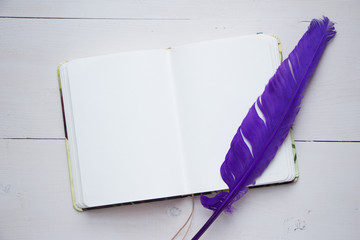 Blank album sheet for your text, copy past and mock up for your romantic and poetry design. Vintage feather, old style, writing materials