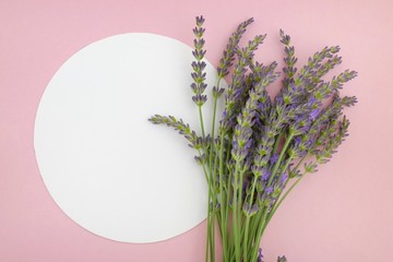 lavender flower bouquet and white  round plate on a pink background.top view, copy space.