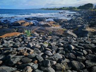 Flic-en-Flac Mauritius