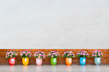 Colorful flower pots with “welcome” messages on pots with blank white concrete wall background. Abstract background.