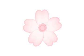Cherry blossom illustration　桜の花のイラスト