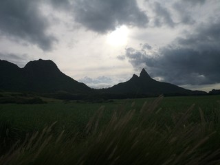 Fototapeta premium rrem