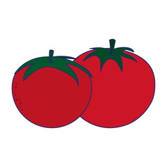 tomatoes vegetables food blue lines