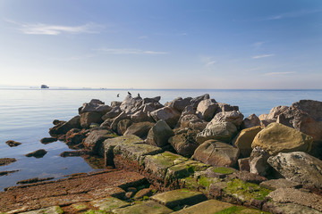 Beautiful landscape of rocky shore in sunny day and sea horizon view in Trieste, Italy.