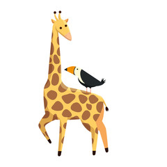 african giraffe and toucan wildlife