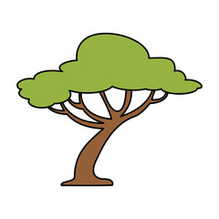 tree forest isolated icon