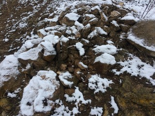 Snowy weather, Snowy mountains, Trees with trees, Pictures of trees and trees