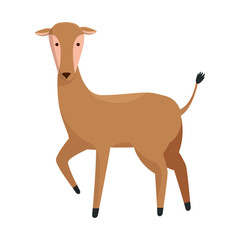 african female antelope wild character