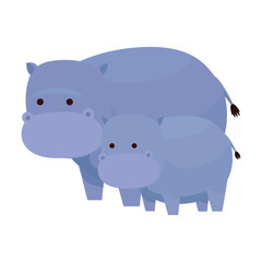 african hippos family wild characters