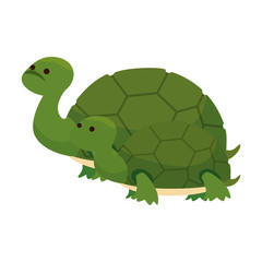 Obraz premium cute family turtles wild characters