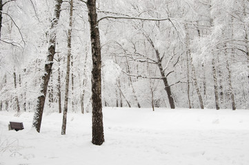 Naklejka premium Winter landscape with a park