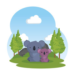 little family koalas in the landscape wild characters