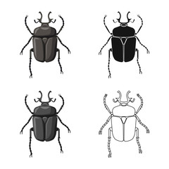 Vector design of insect and fly symbol. Set of insect and element stock symbol for web.