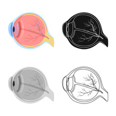 Isolated object of body and human symbol. Collection of body and medical vector icon for stock.