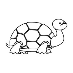 cute turtle wild character