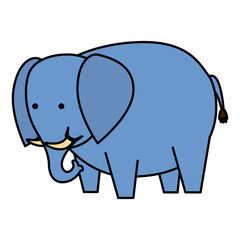 african elephant wild character