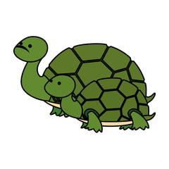 cute family turtles wild characters