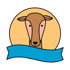 african female antelope wild character