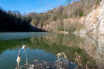zugefrirener See im Wald - frozen lake in the forest