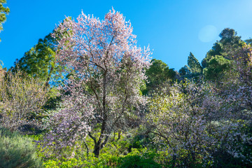 Landschaft von Gran Canaria im Sommer