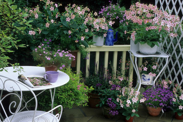 Fleurs roses sur un balcon