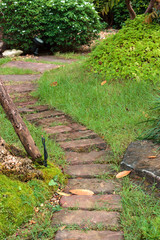 Obraz premium path in the garden.