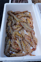 Fresh fish, shellfish, seafood in Cambrils Harbor Market, Catalonia, Spain