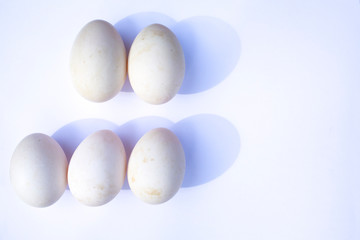 Five duck eggs on white background