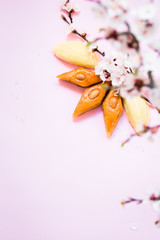 Novruz traditional Azerbaijan pastry shekerbura and pakhlava, beautiful tiny apricot or cherry blossoms for spring equinox celebration on pink background, flat lay top view copy space for text