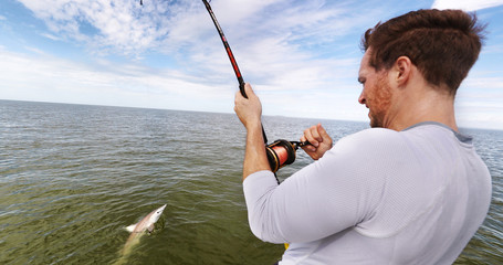 Shark fishing big game spinner shark biting bait man fisher reeling in animal in catch and release...