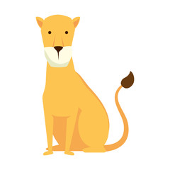 african lioness wild animal