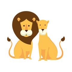 african lions couple characters