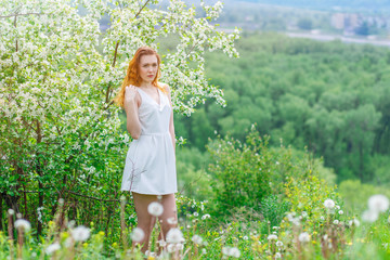 A young and slender girl in the spring stands near a young Apple tree. The sun's rays through the branches of Apple trees, toning.