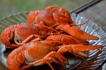 Boiled crayfish is a popular summer dish if you live near a pond