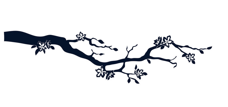 Vector silhouette of a flowering branch.