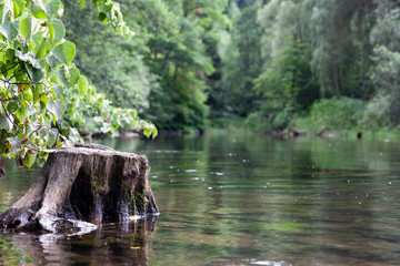 Nagold bei Altensteig